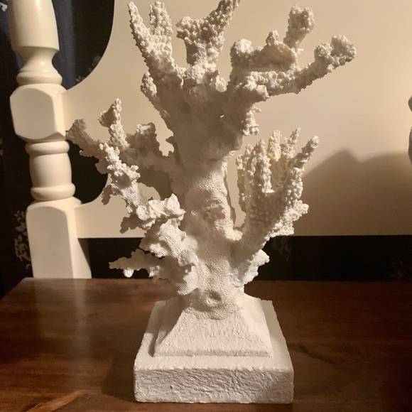Other - Coral Decor Accent